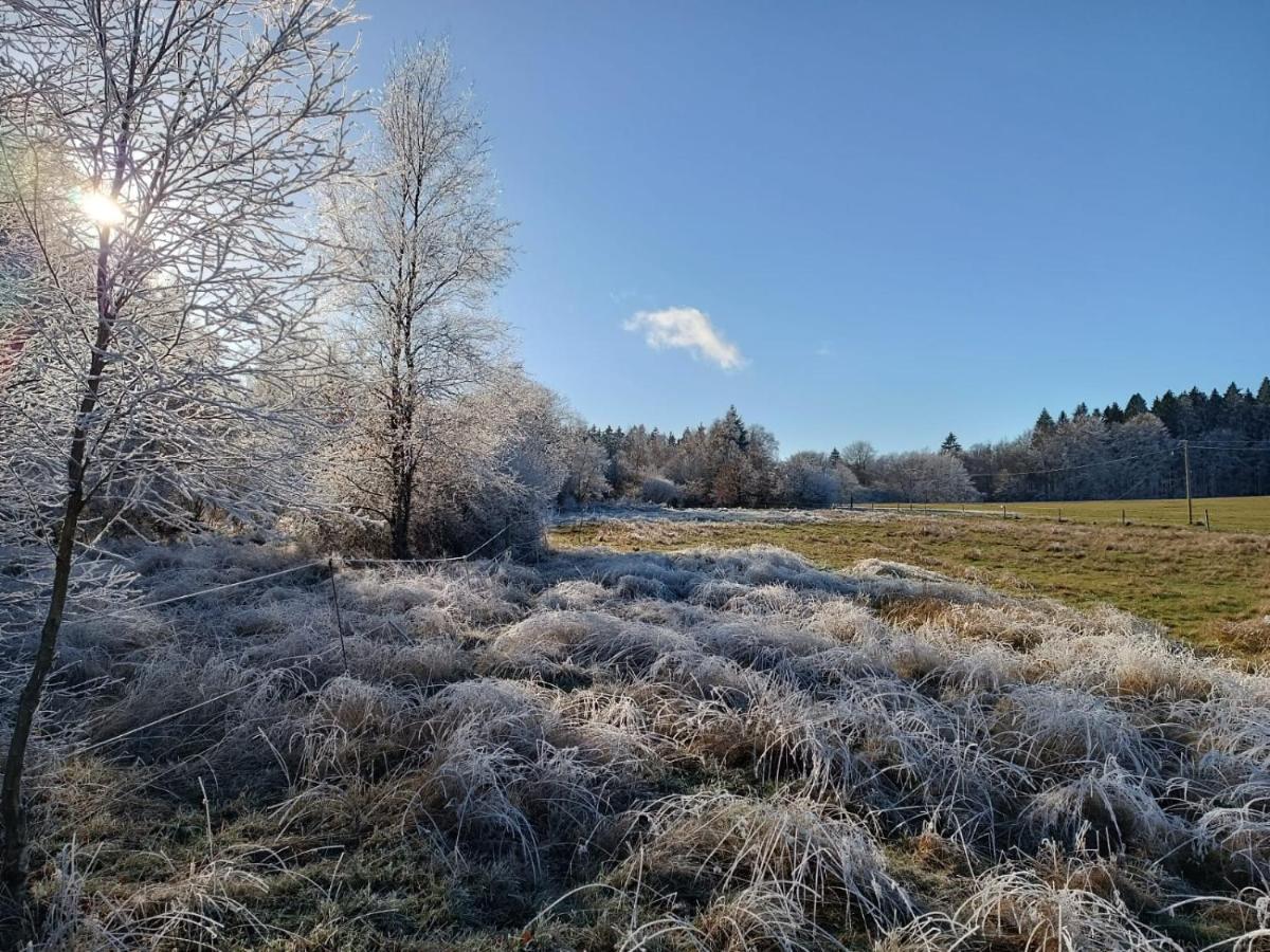 Les Ecureuils Bed and Breakfast Revin  Exteriör bild