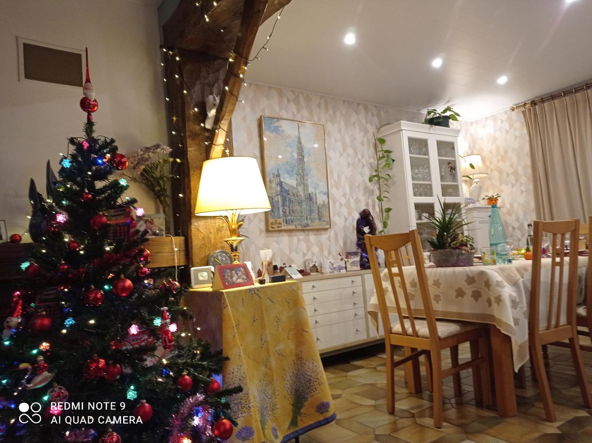 Les Ecureuils Bed and Breakfast Revin  Exteriör bild